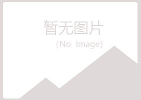 鹤岗东山宿命服务有限公司